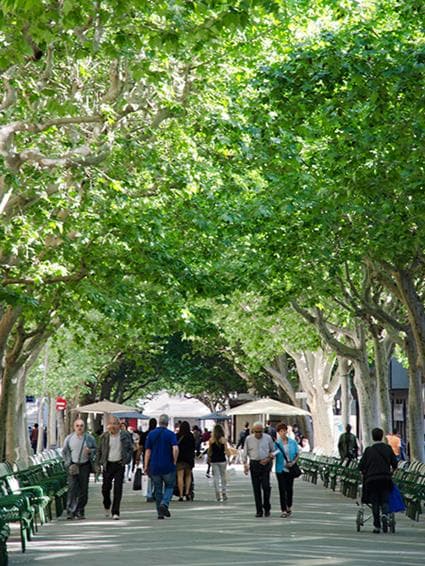 Manresa photo