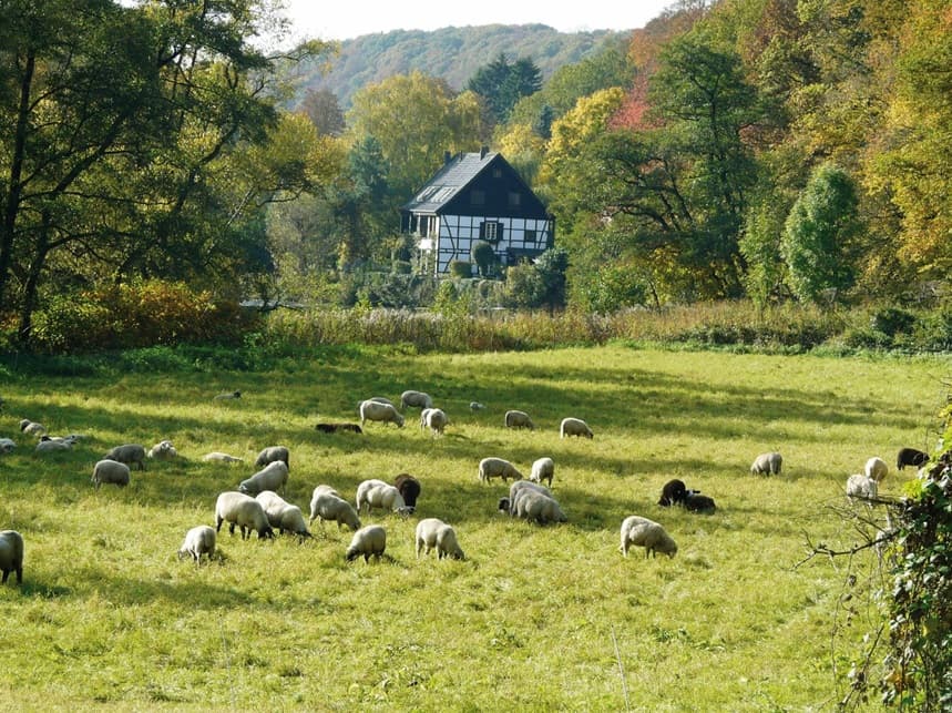 Solingen photo