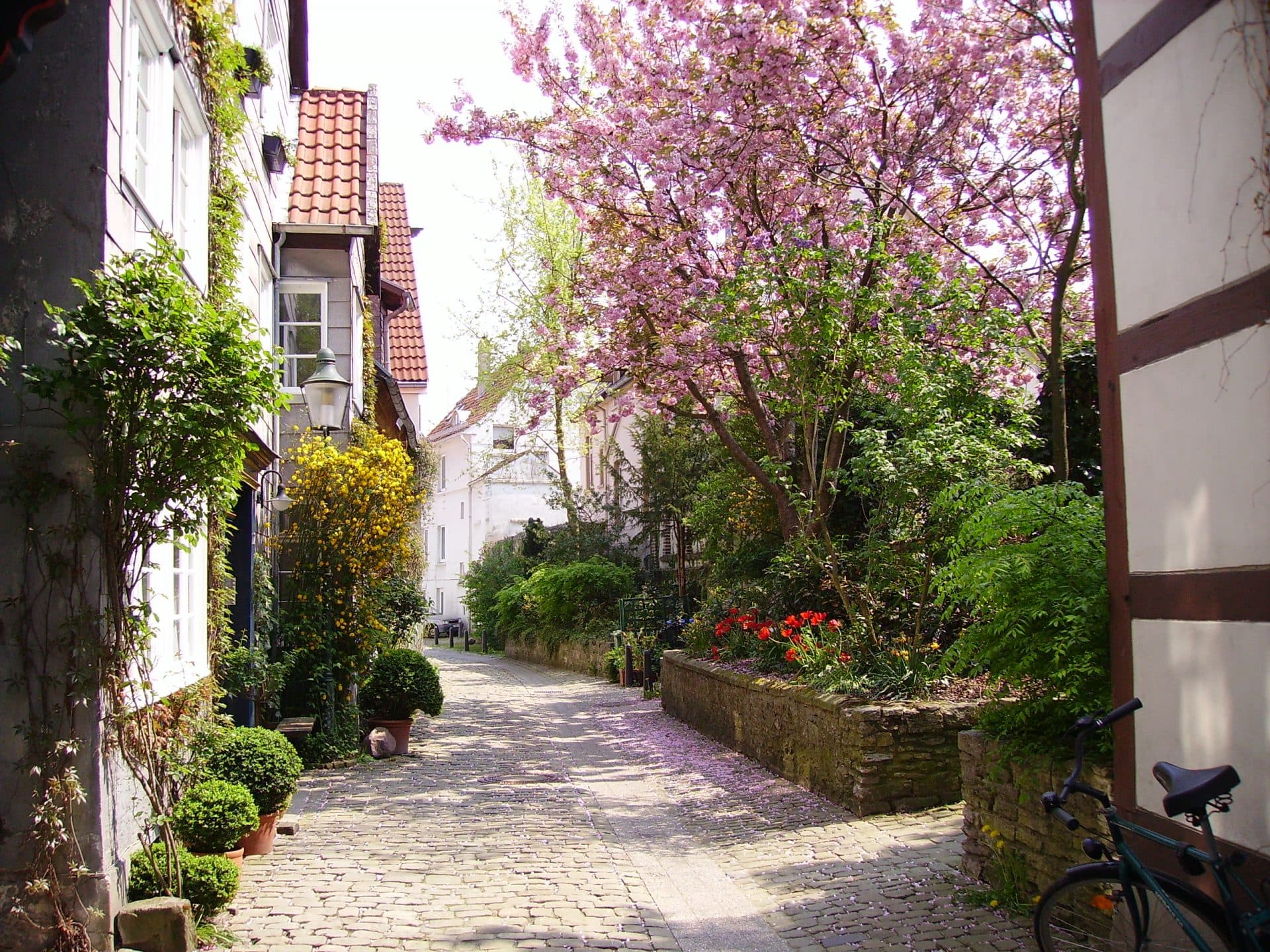 Detmold photo