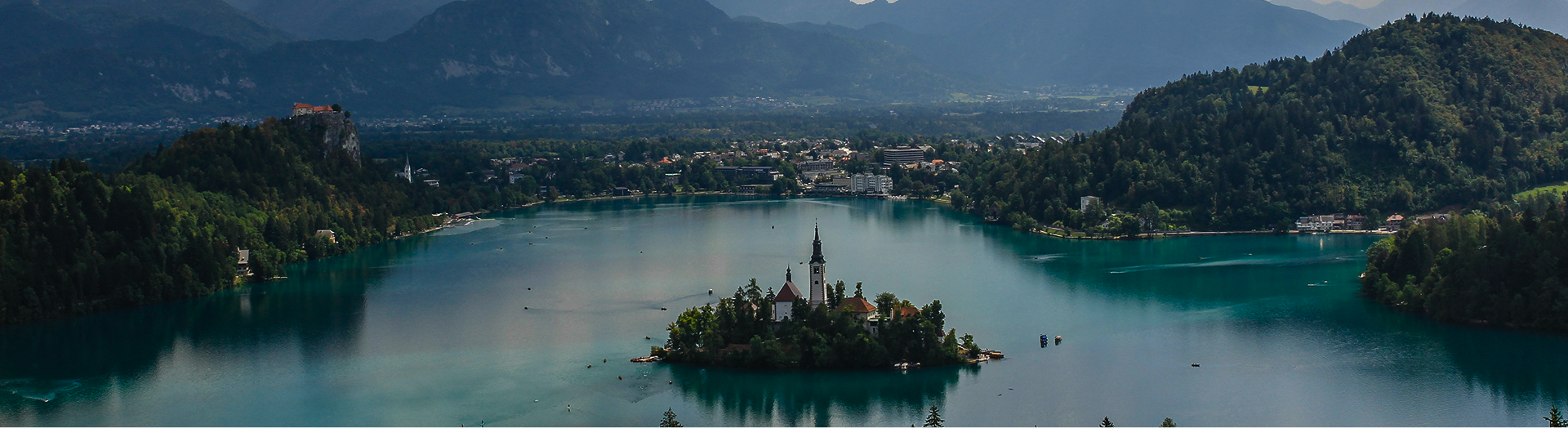 Aerial city view